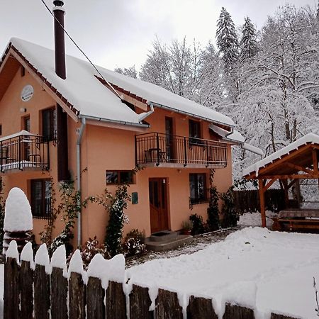 Casa Iulia & Matei Villa Cartisoara Exterior photo