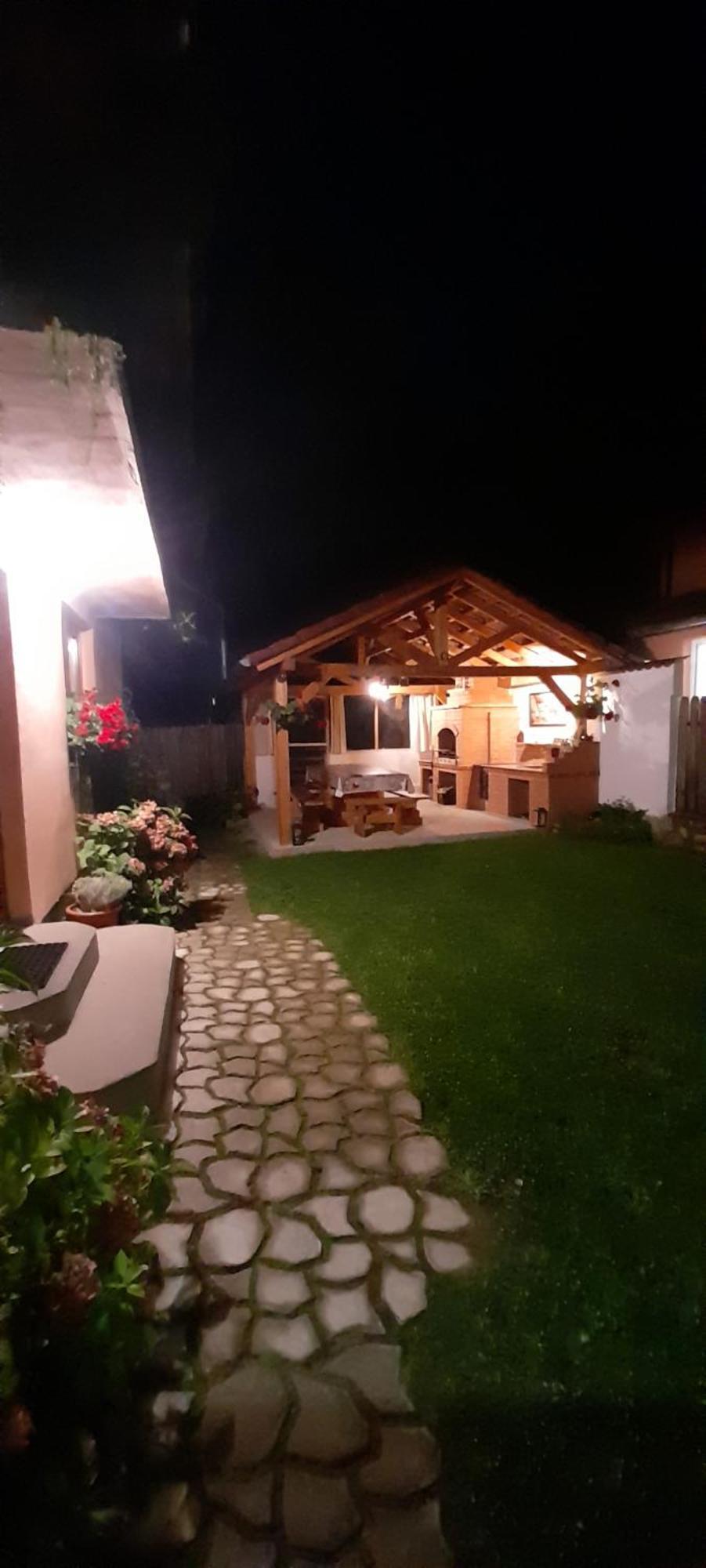 Casa Iulia & Matei Villa Cartisoara Exterior photo