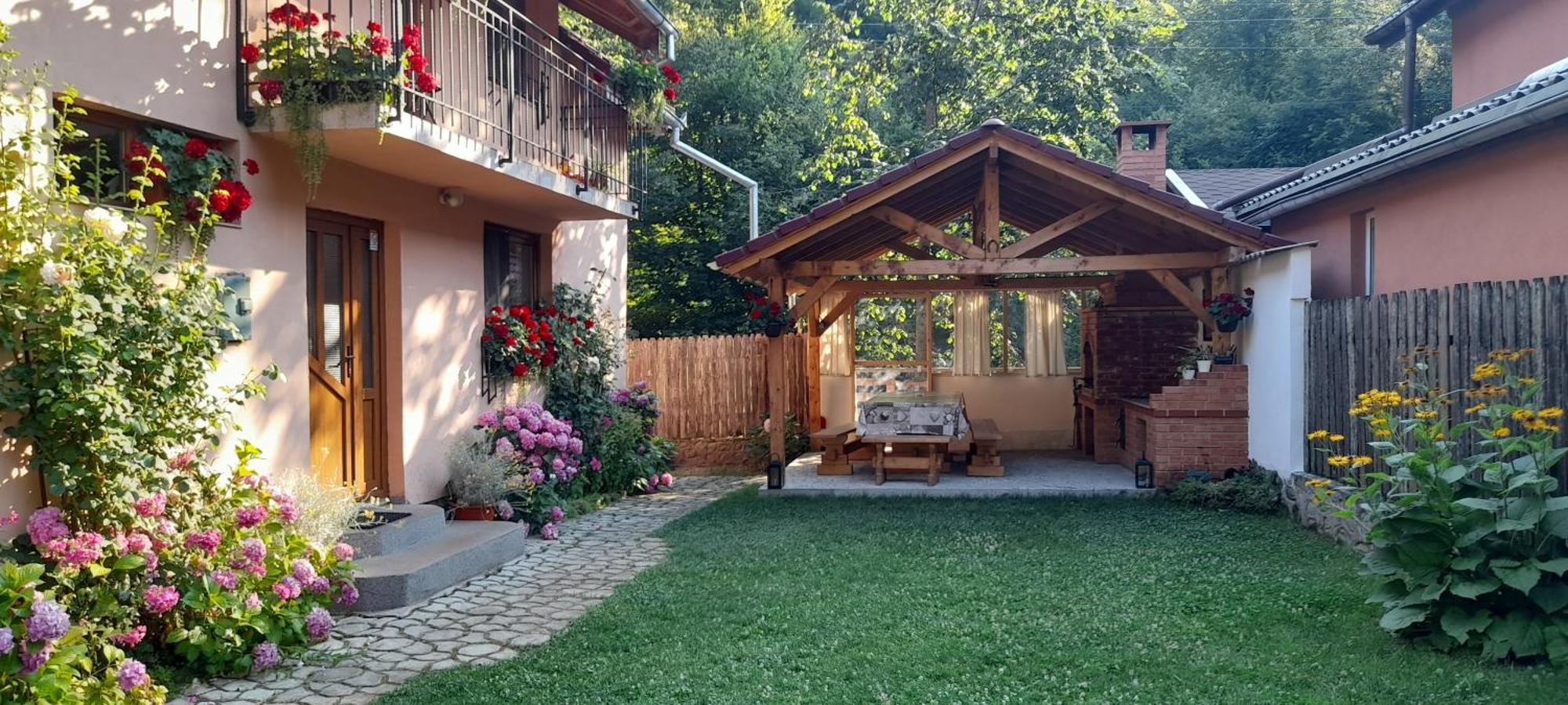 Casa Iulia & Matei Villa Cartisoara Exterior photo